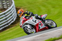 PJ-Motorsport-2019;anglesey;brands-hatch;cadwell-park;croft;donington-park;enduro-digital-images;event-digital-images;eventdigitalimages;mallory;no-limits;oulton-park;peter-wileman-photography;racing-digital-images;silverstone;snetterton;trackday-digital-images;trackday-photos;vmcc-banbury-run;welsh-2-day-enduro